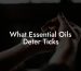 What Essential Oils Deter Ticks