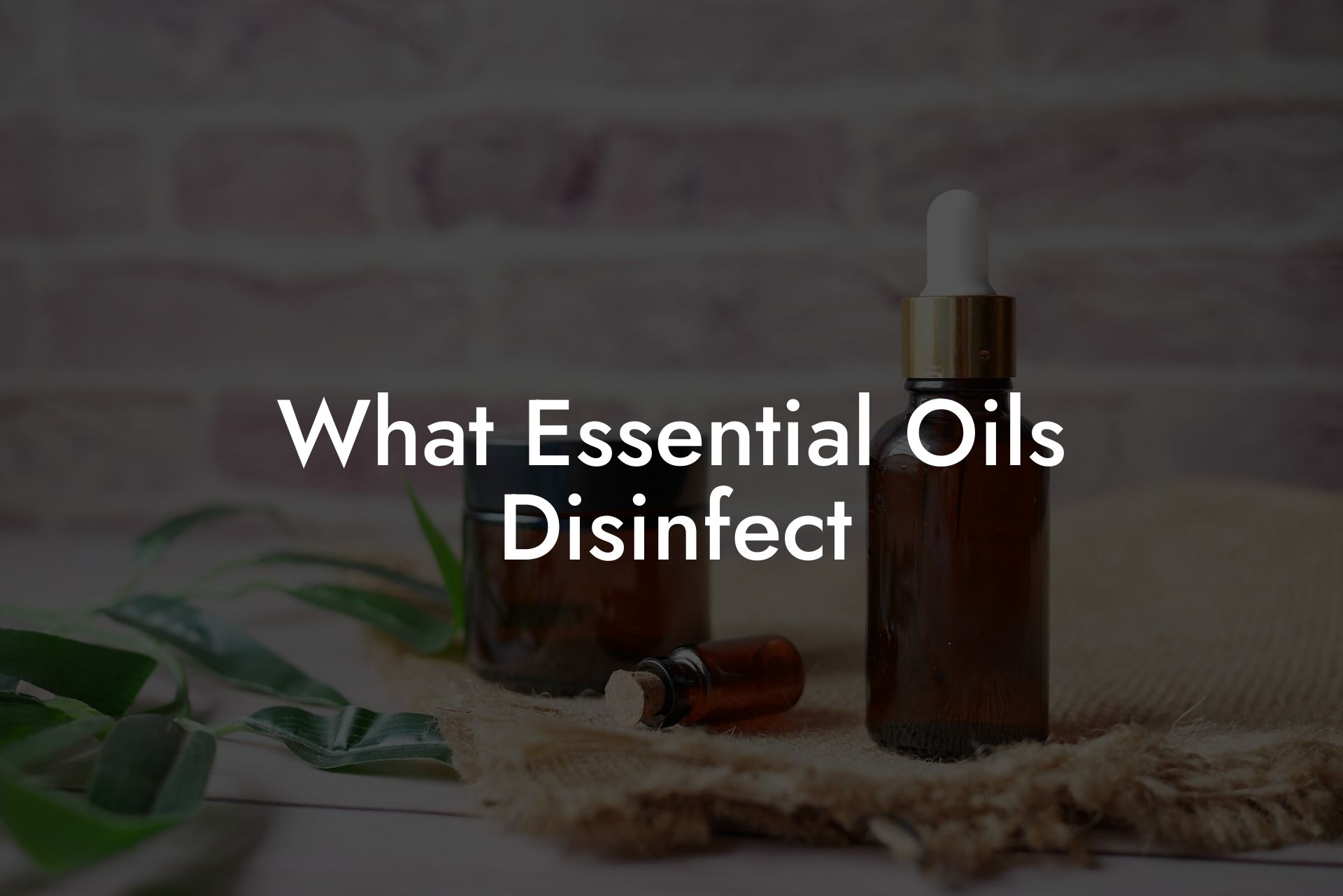 What Essential Oils Disinfect