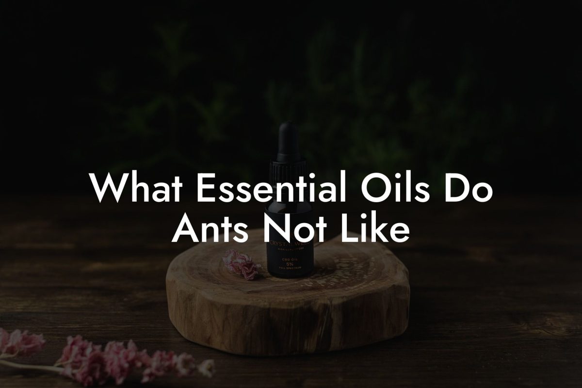 What Essential Oils Do Ants Not Like