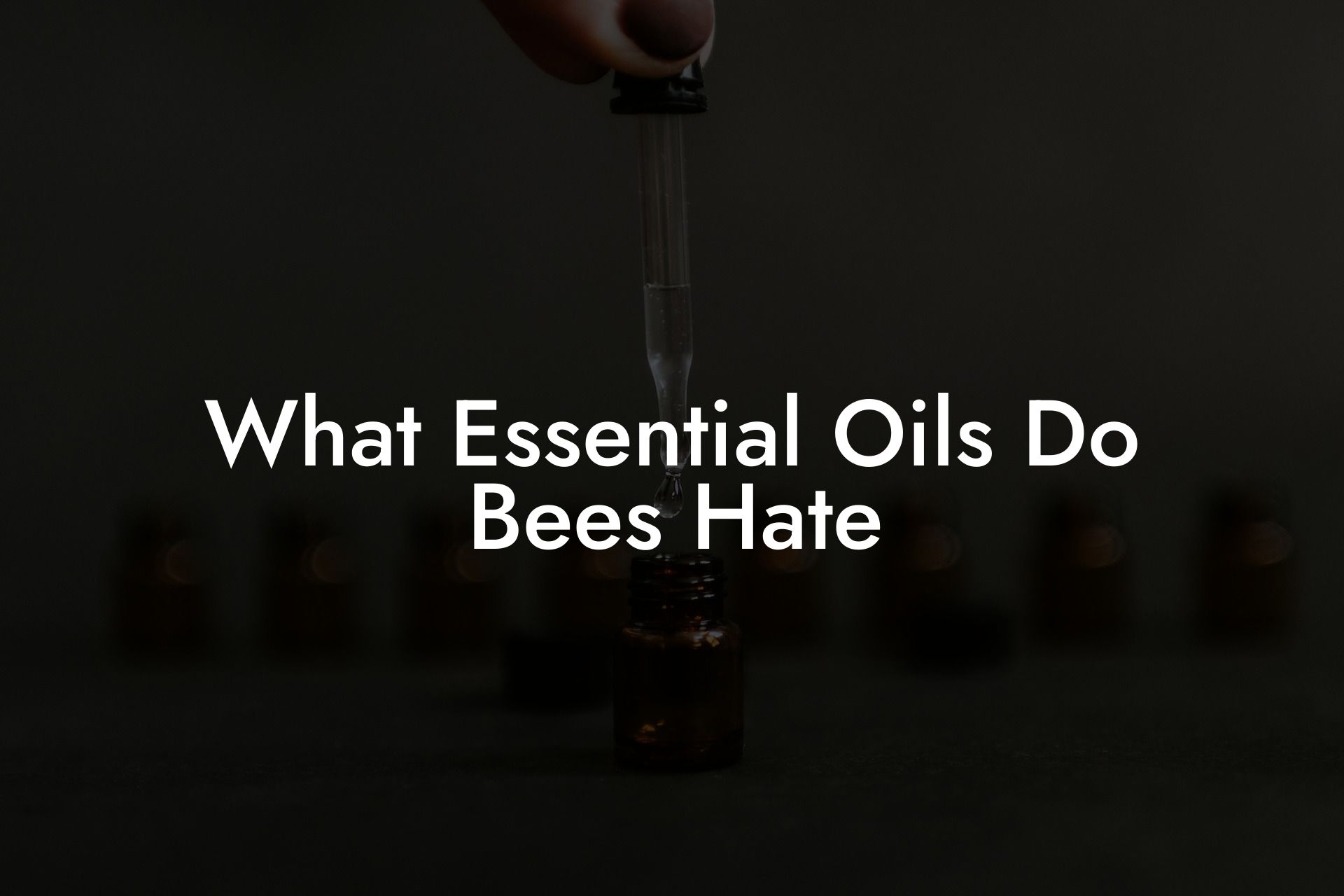 What Essential Oils Do Bees Hate