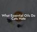 What Essential Oils Do Cats Hate