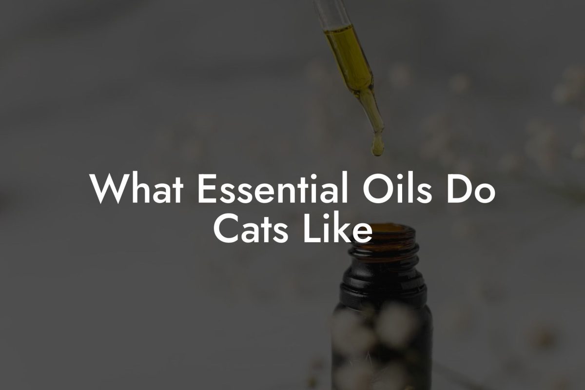 What Essential Oils Do Cats Like
