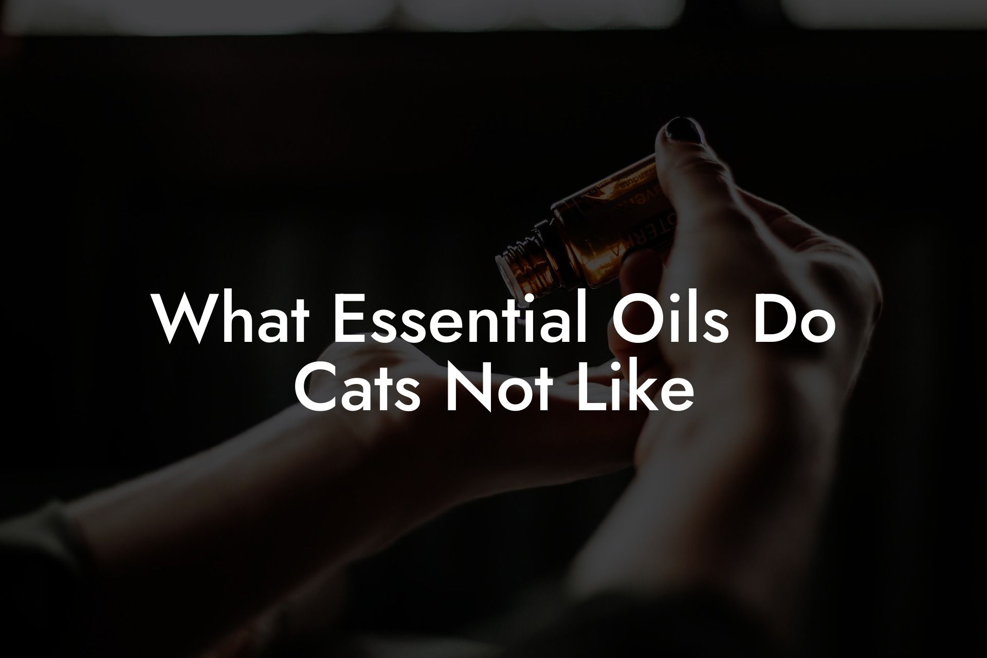 What Essential Oils Do Cats Not Like