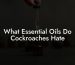 What Essential Oils Do Cockroaches Hate