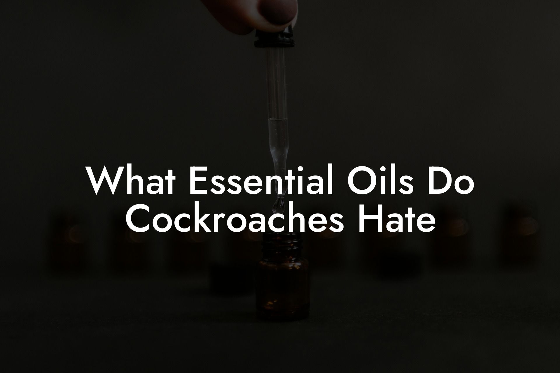 What Essential Oils Do Cockroaches Hate