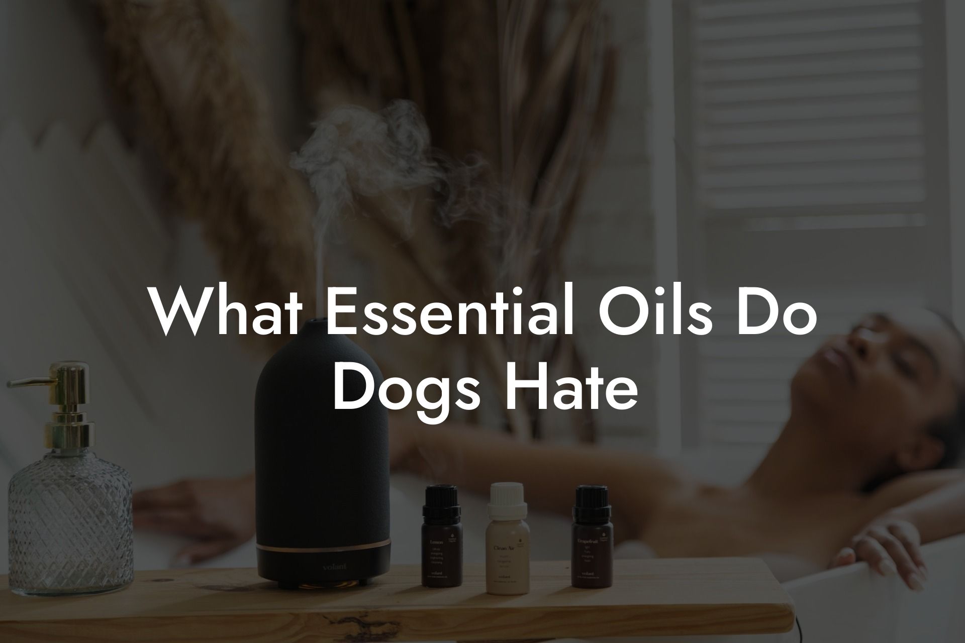 What Essential Oils Do Dogs Hate