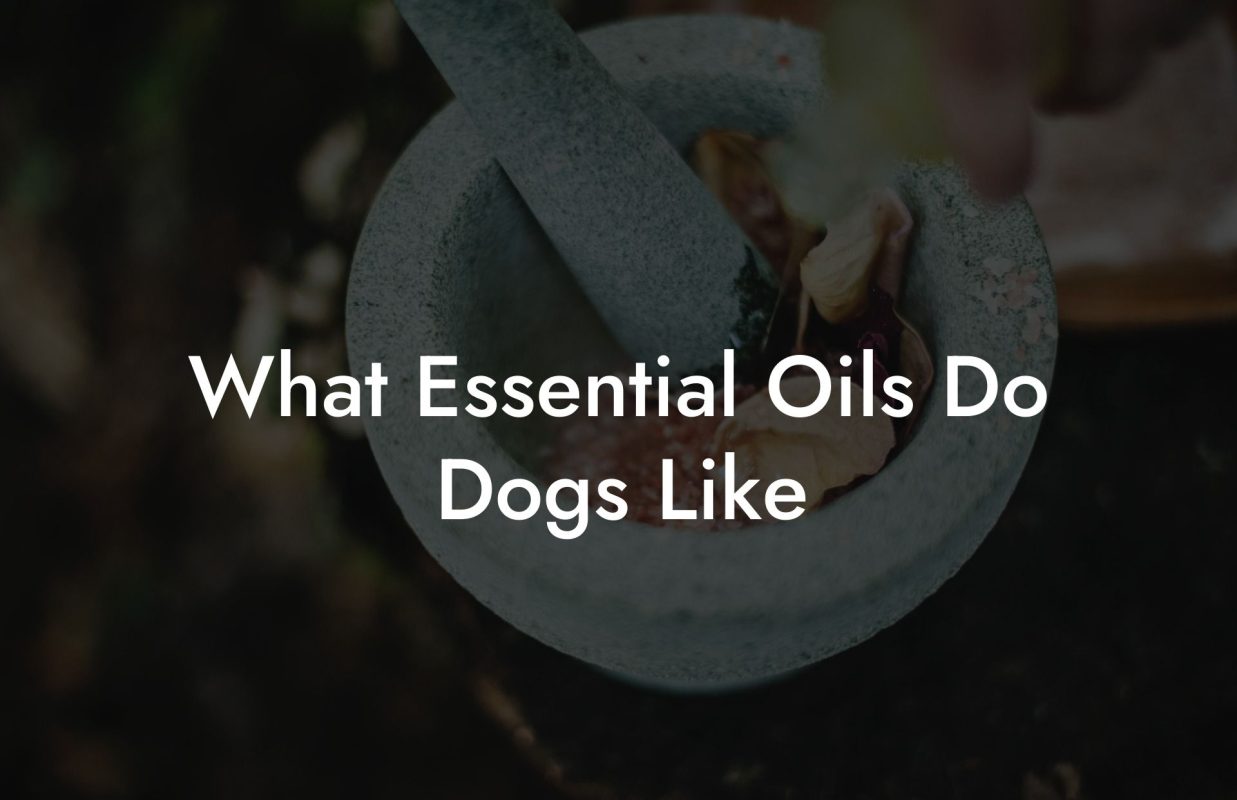 What Essential Oils Do Dogs Like