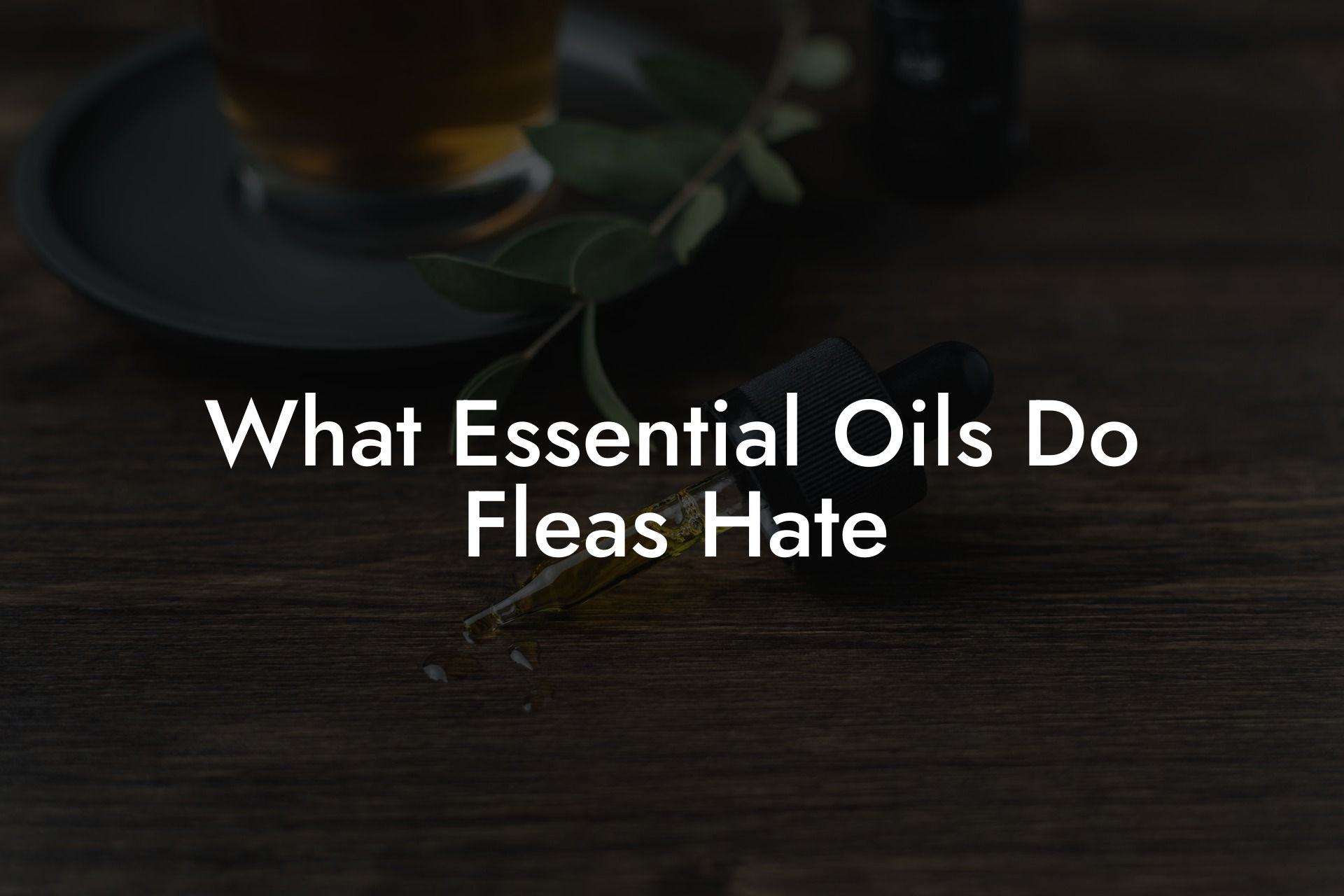 What Essential Oils Do Fleas Hate