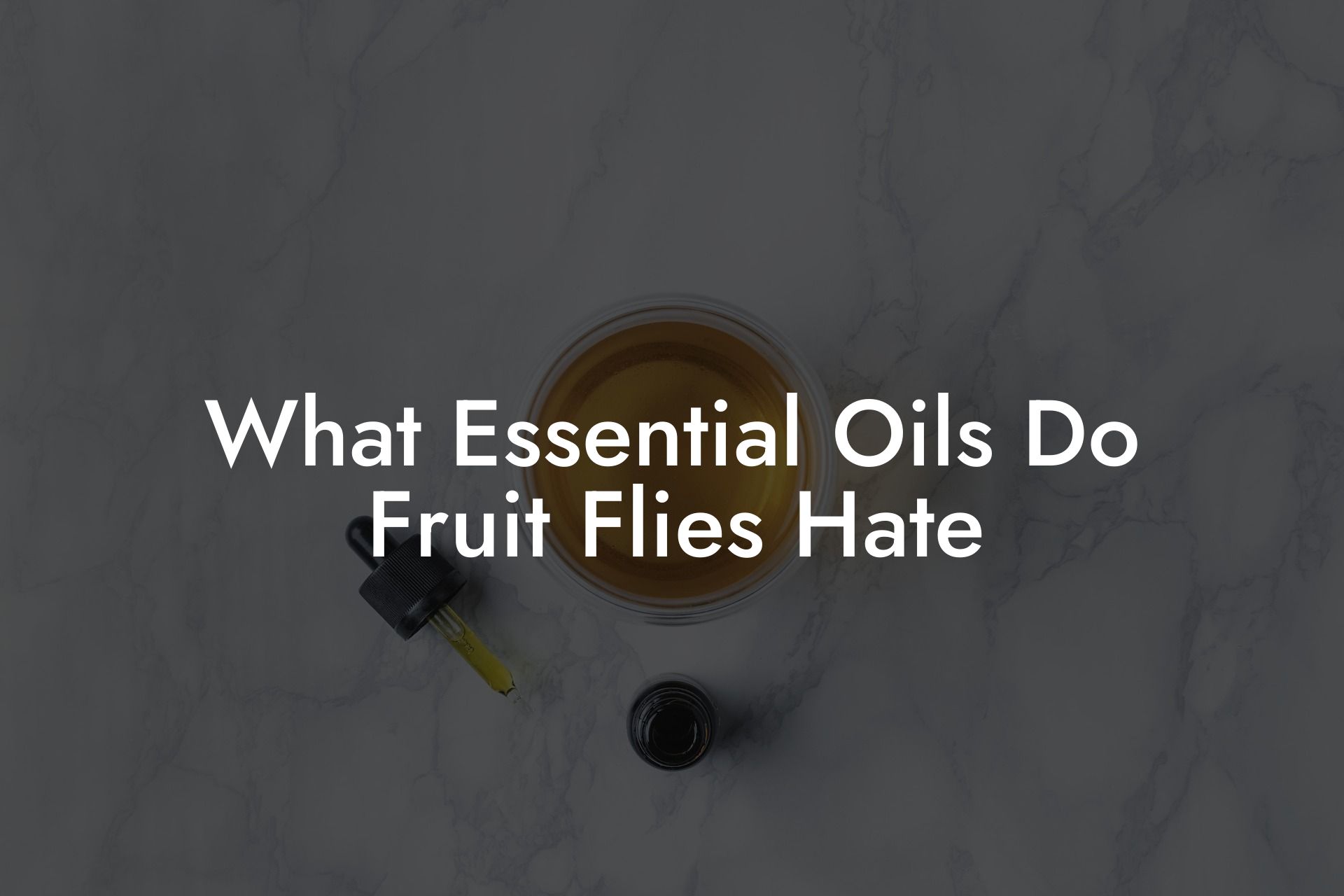What Essential Oils Do Fruit Flies Hate
