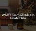 What Essential Oils Do Gnats Hate