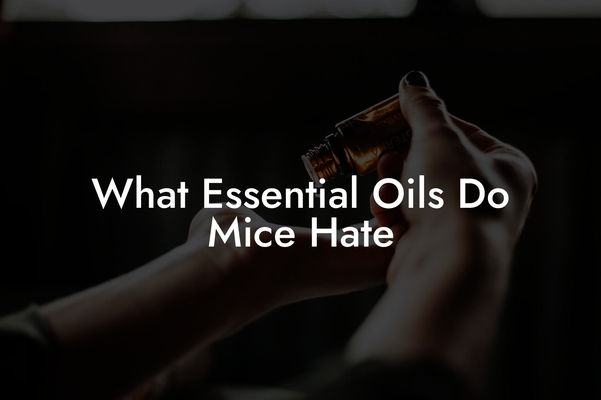 What Essential Oils Do Mice Hate