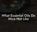 What Essential Oils Do Mice Not Like