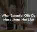 What Essential Oils Do Mosquitoes Not Like