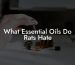 What Essential Oils Do Rats Hate