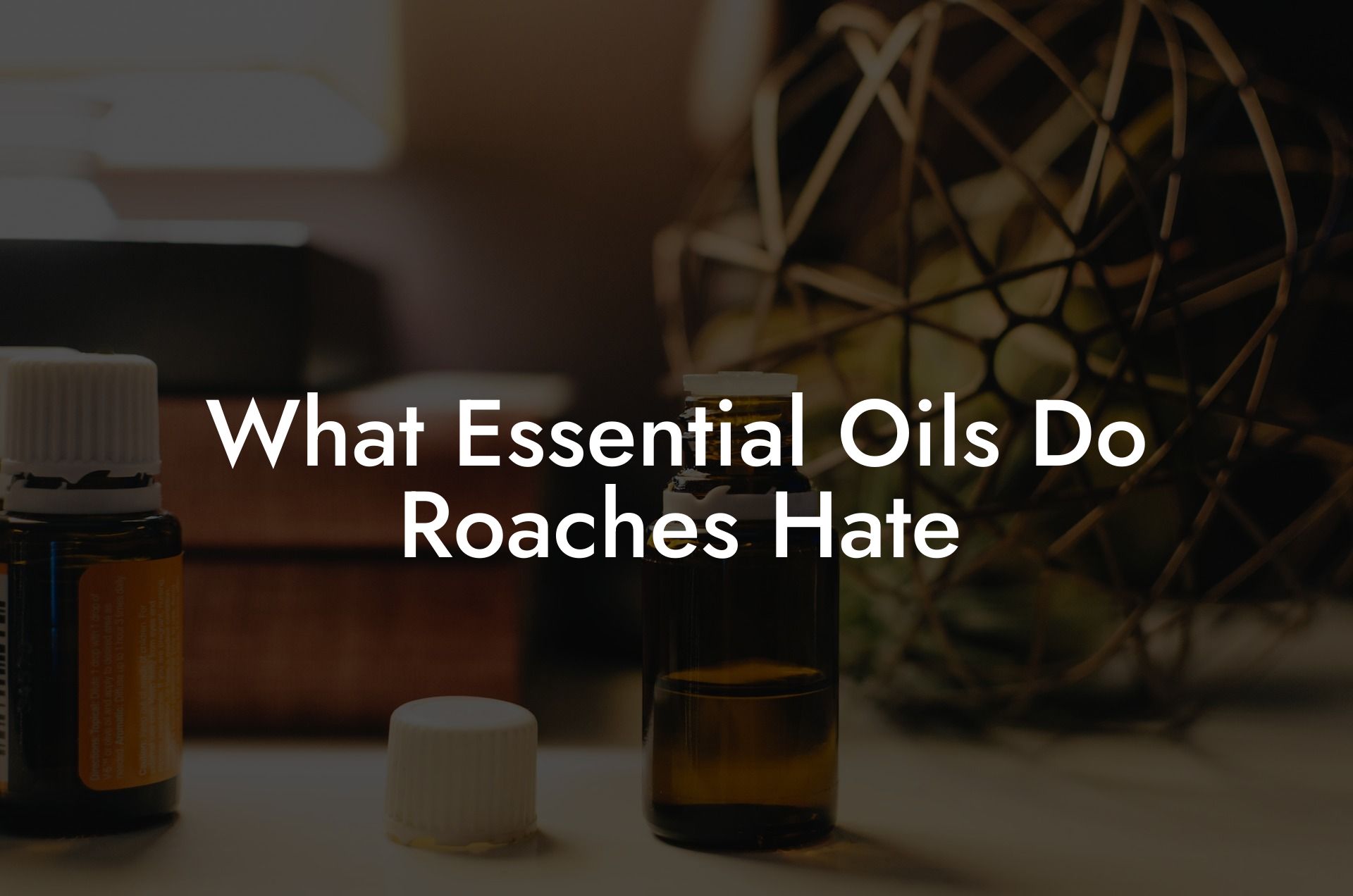 What Essential Oils Do Roaches Hate