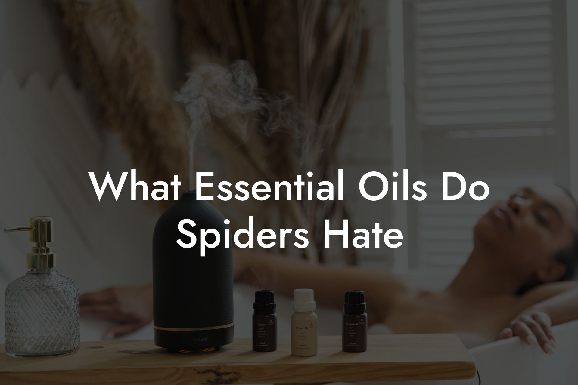 What Essential Oils Do Spiders Hate