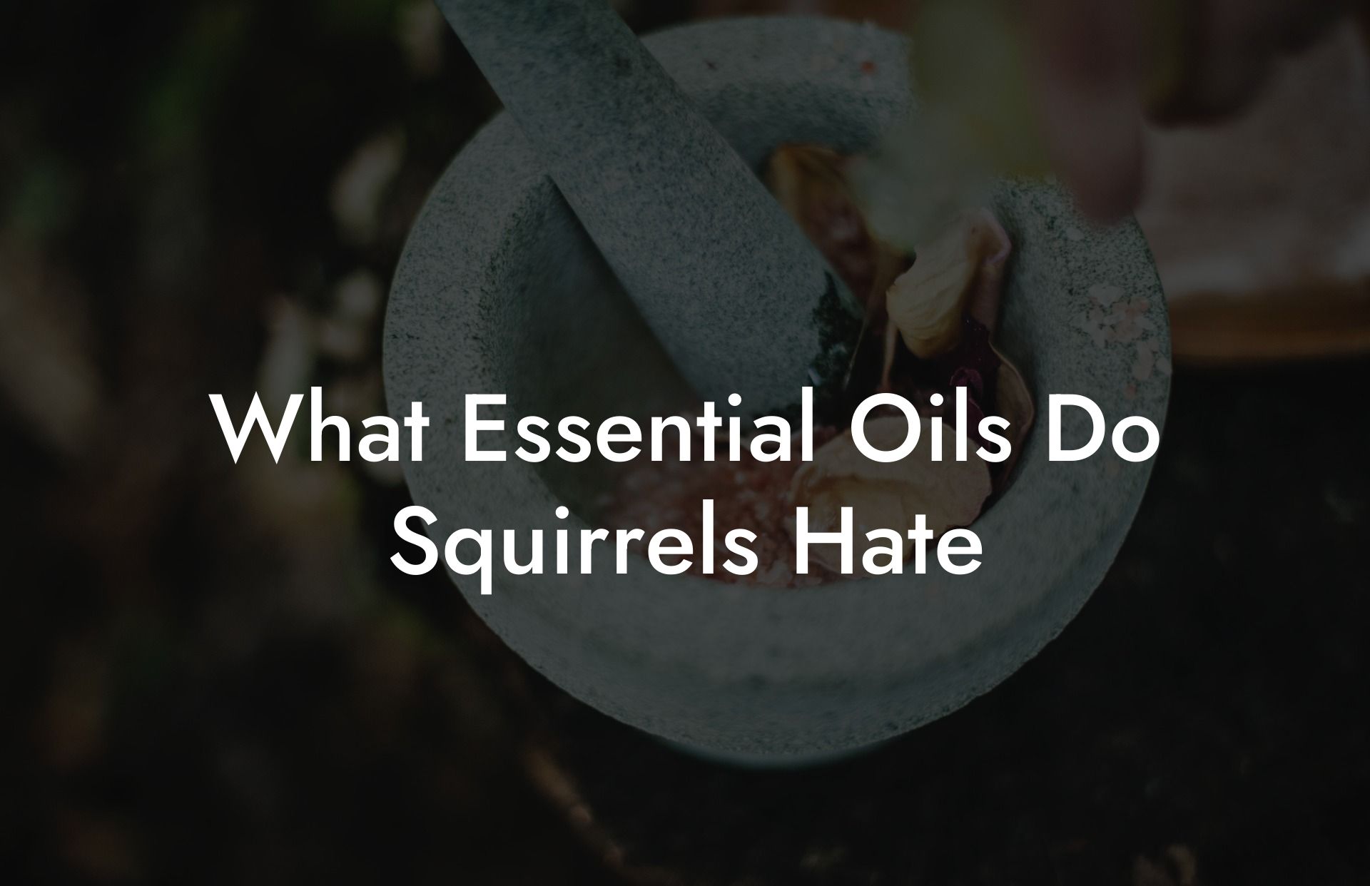 What Essential Oils Do Squirrels Hate