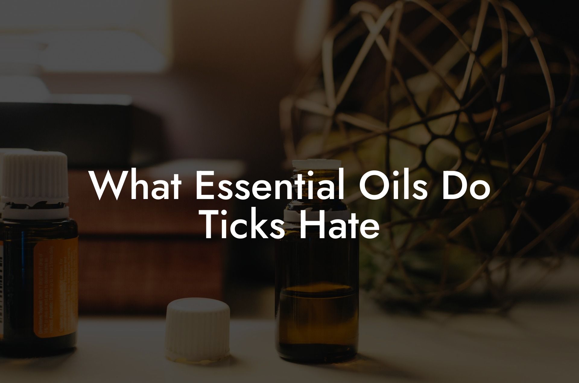 What Essential Oils Do Ticks Hate