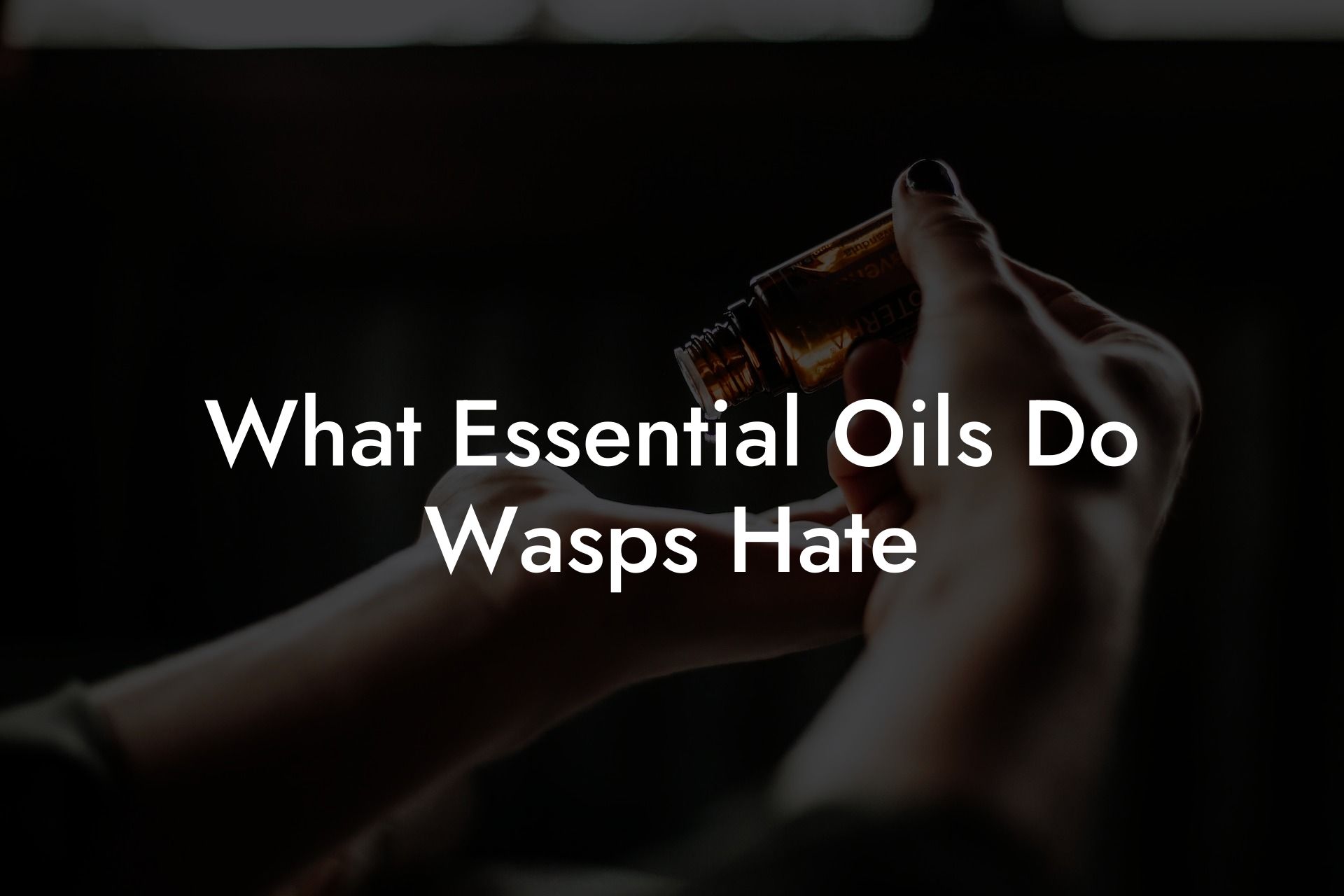What Essential Oils Do Wasps Hate