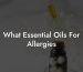 What Essential Oils For Allergies