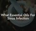 What Essential Oils For Sinus Infection