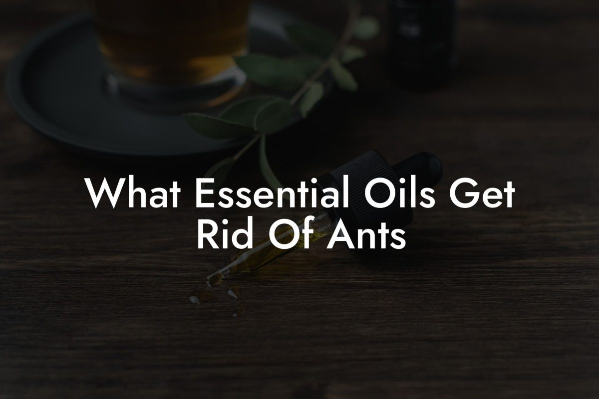 What Essential Oils Get Rid Of Ants