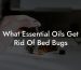 What Essential Oils Get Rid Of Bed Bugs