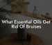 What Essential Oils Get Rid Of Bruises
