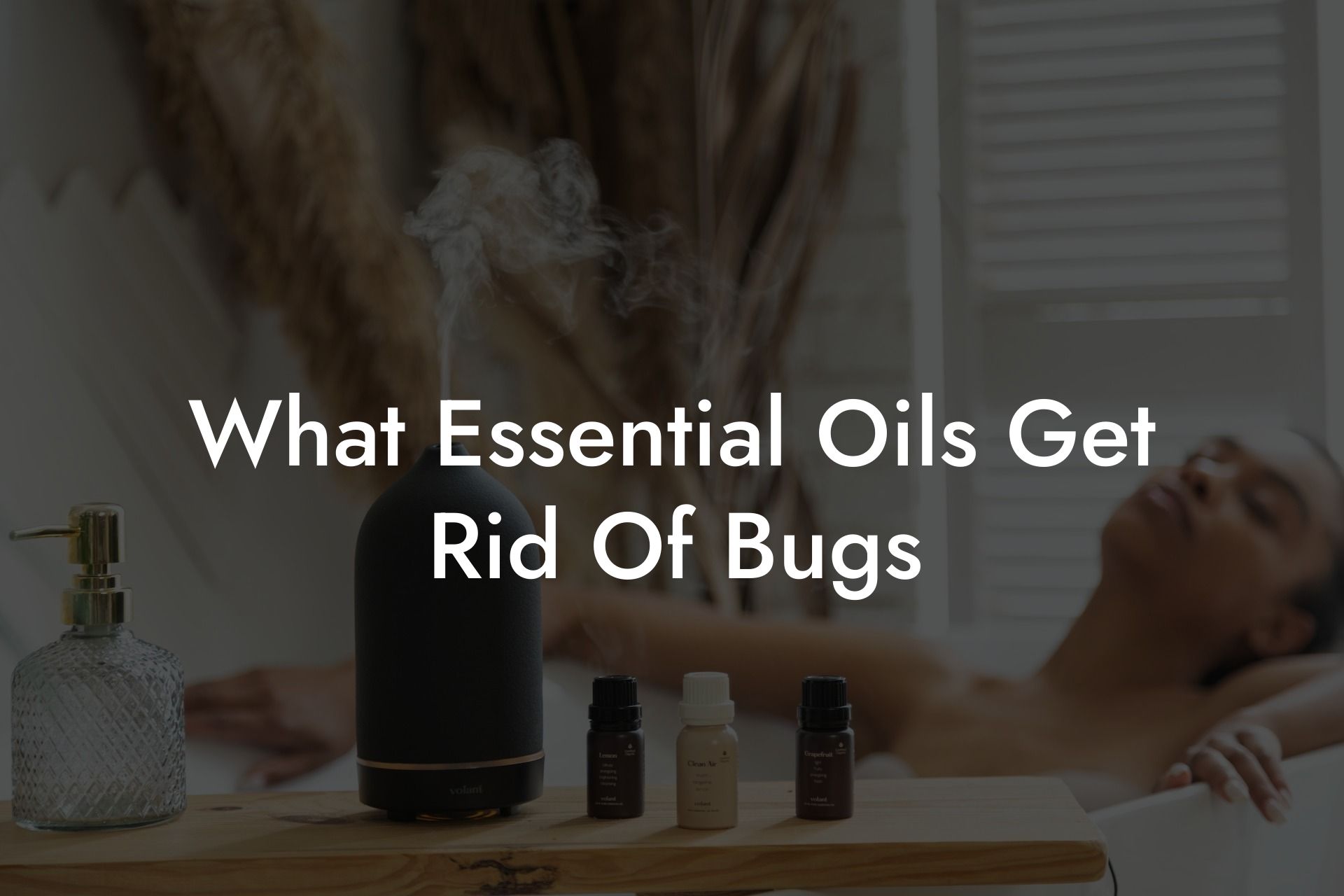 What Essential Oils Get Rid Of Bugs