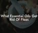 What Essential Oils Get Rid Of Fleas