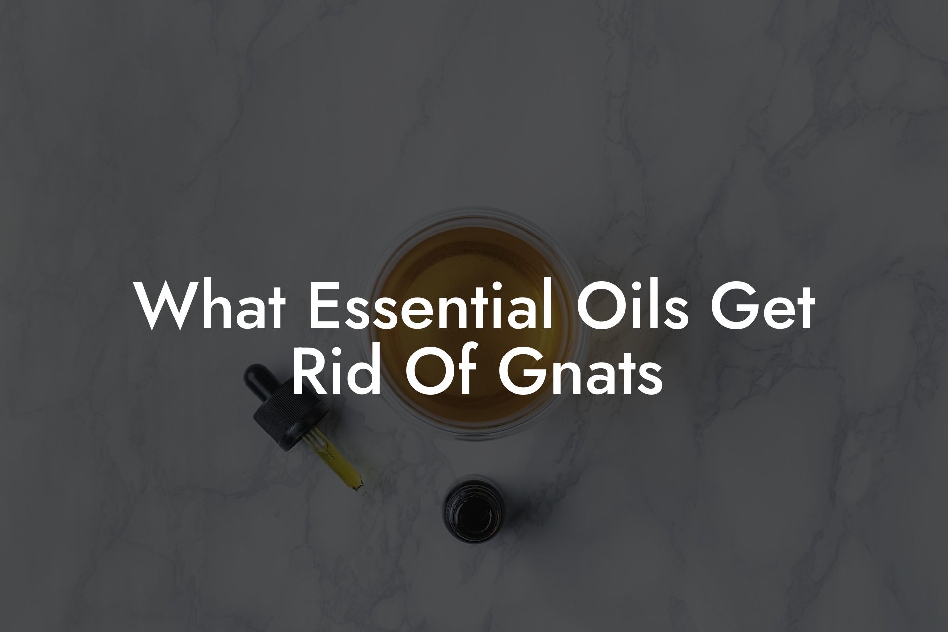 What Essential Oils Get Rid Of Gnats