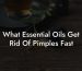 What Essential Oils Get Rid Of Pimples Fast