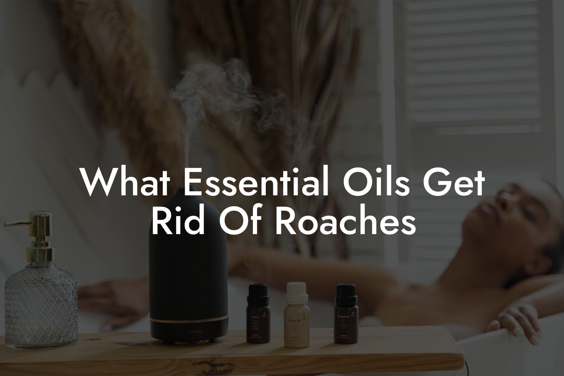 What Essential Oils Get Rid Of Roaches