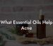 What Essential Oils Help Acne