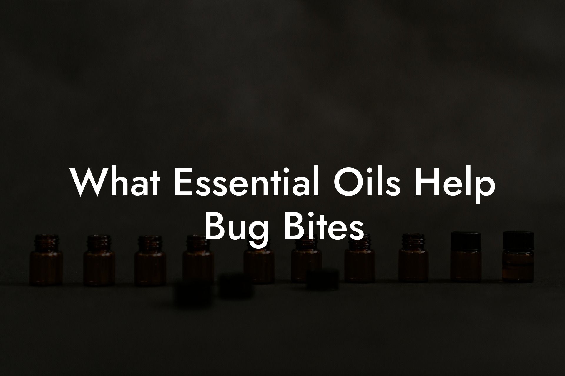 What Essential Oils Help Bug Bites