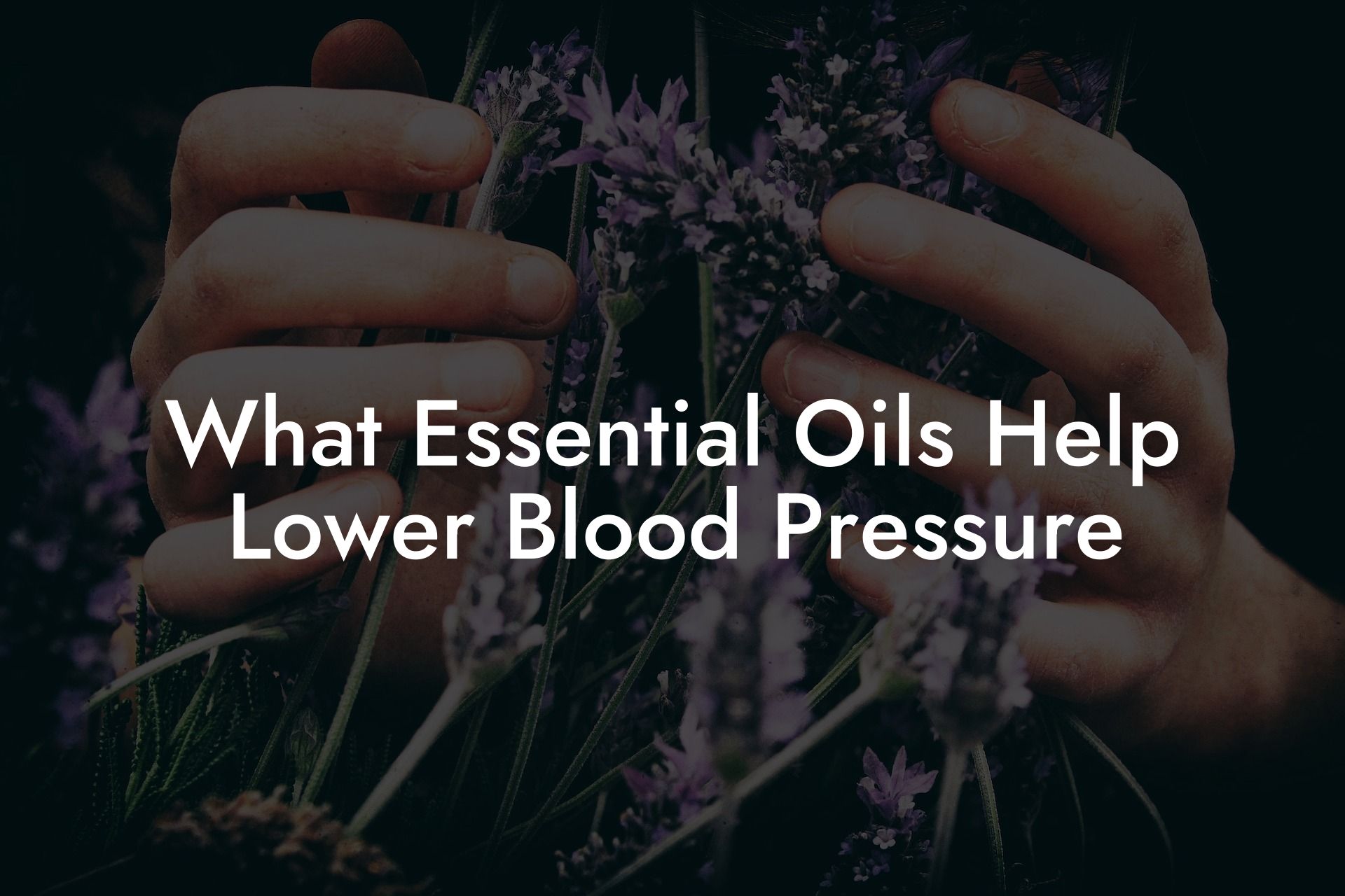 What Essential Oils Help Lower Blood Pressure