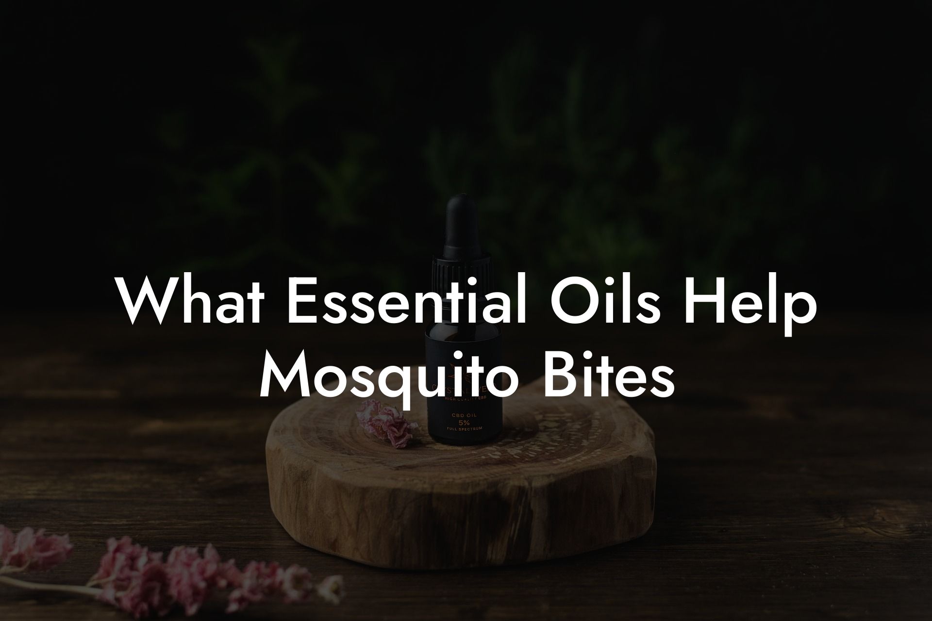 What Essential Oils Help Mosquito Bites