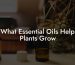 What Essential Oils Help Plants Grow