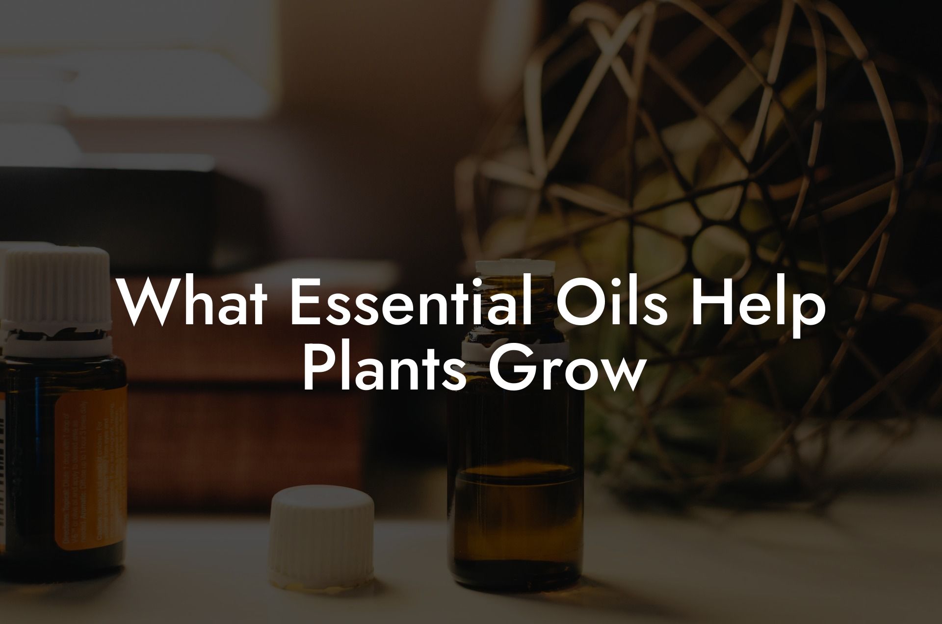 What Essential Oils Help Plants Grow