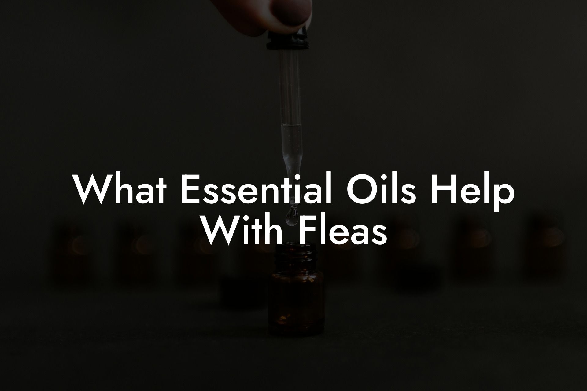 What Essential Oils Help With Fleas