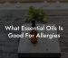 What Essential Oils Is Good For Allergies
