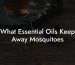 What Essential Oils Keep Away Mosquitoes