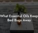 What Essential Oils Keep Bed Bugs Away