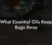 What Essential Oils Keep Bugs Away