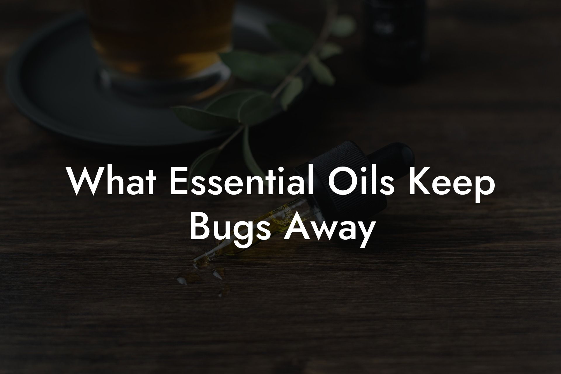 What Essential Oils Keep Bugs Away