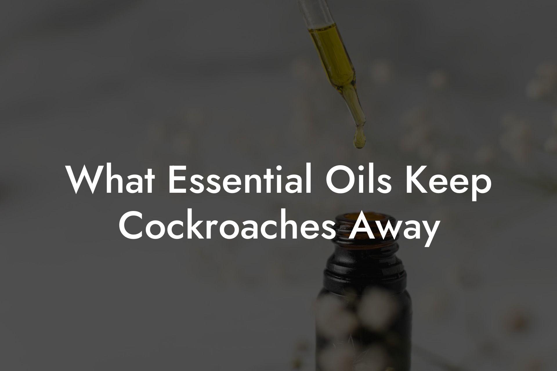 What Essential Oils Keep Cockroaches Away