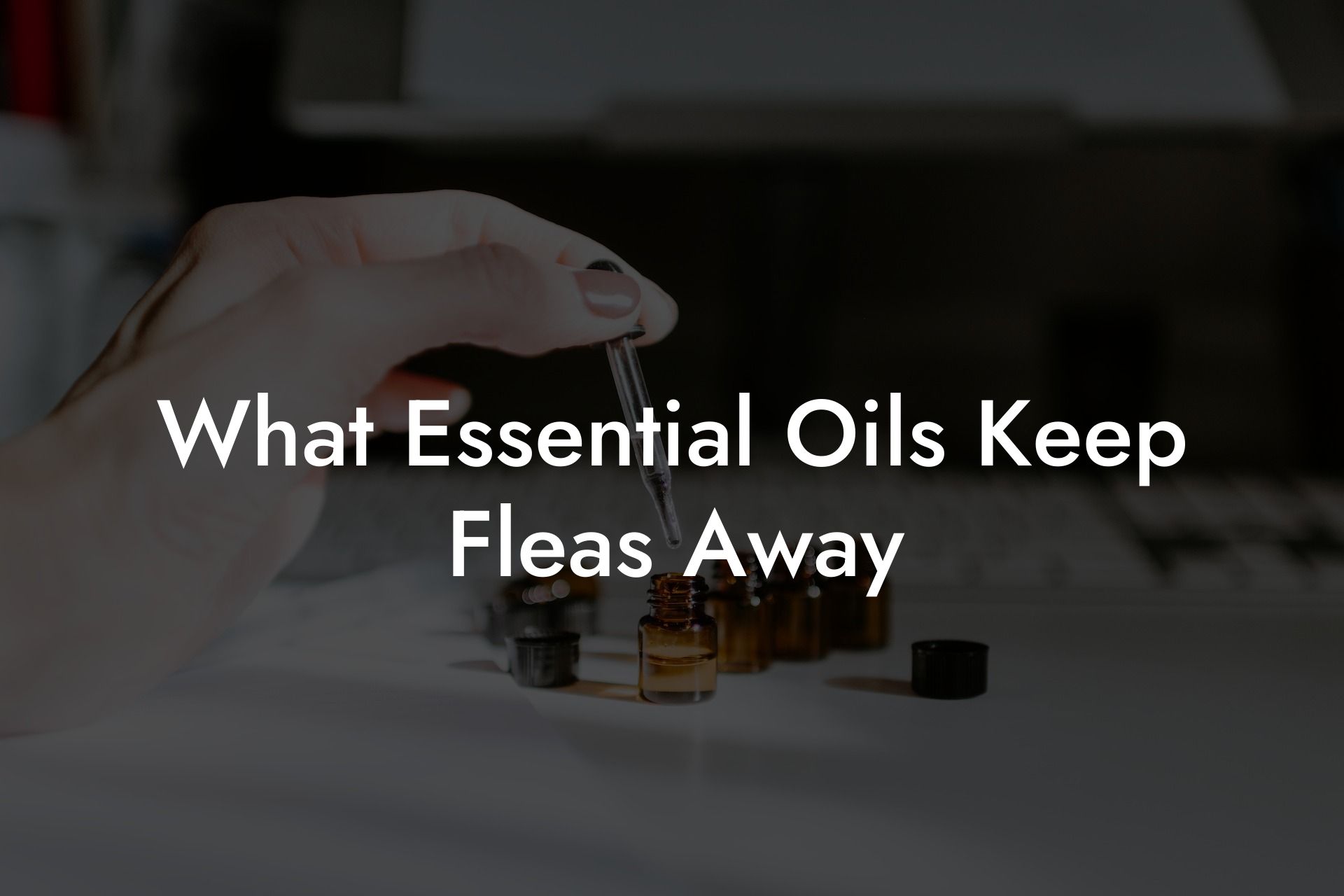What Essential Oils Keep Fleas Away