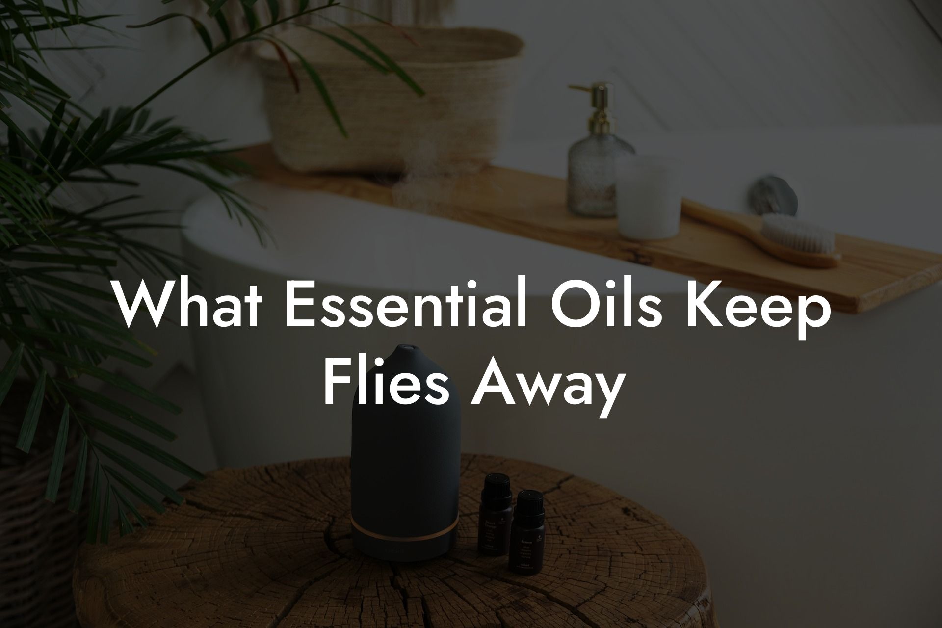 What Essential Oils Keep Flies Away