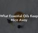 What Essential Oils Keep Mice Away