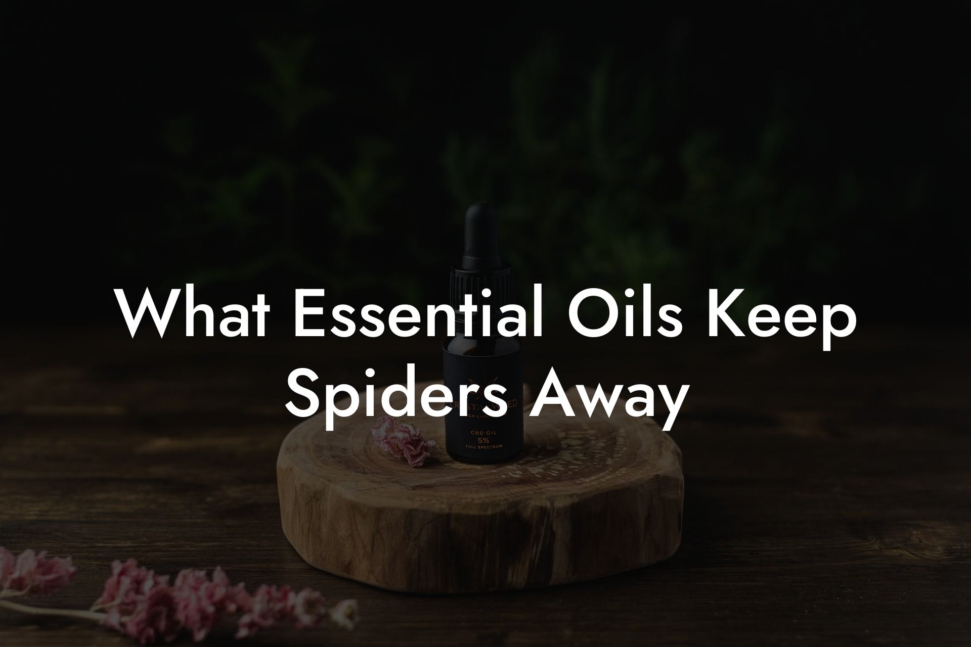 What Essential Oils Keep Spiders Away